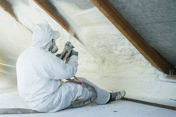 Best Spray Foam Insulation  in USA